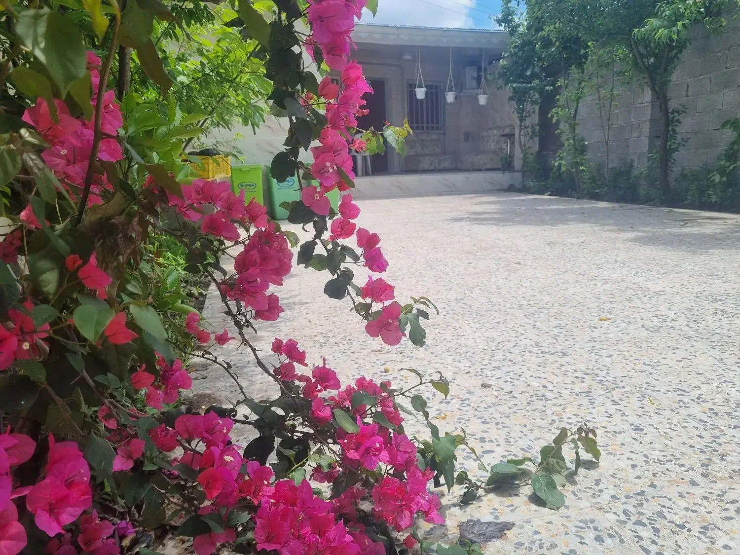 ویلا تکخواب جاده رشت انزلی.مستقل.امن|اجارهٔ کوتاه‌مدت ویلا و باغ|رشت, حومه رشت|دیوار