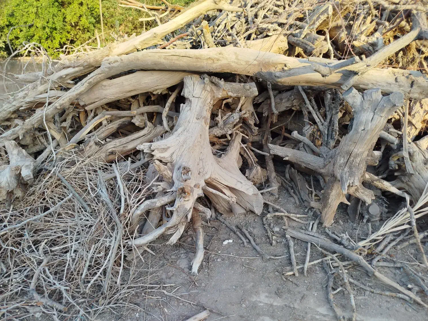 فروش کنده در سیریز زرند|فعالیت داوطلبانه|زرند, |دیوار