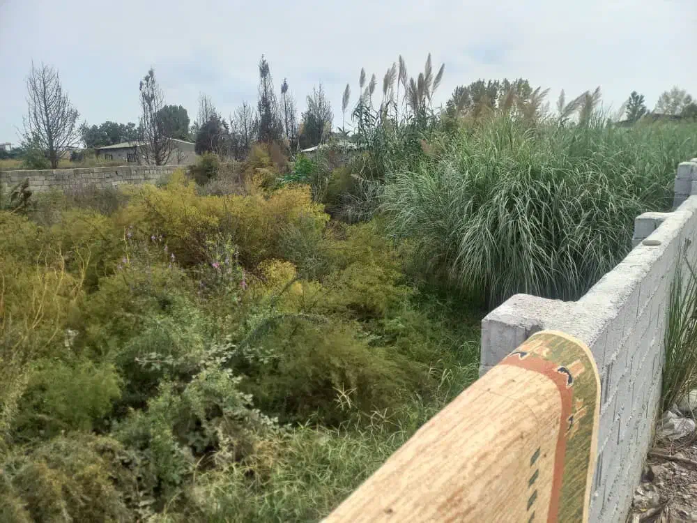 فروش زمین195متری/قابل ساخت/سند تک برگ|فروش زمین و ملک کلنگی|دابودشت, |دیوار