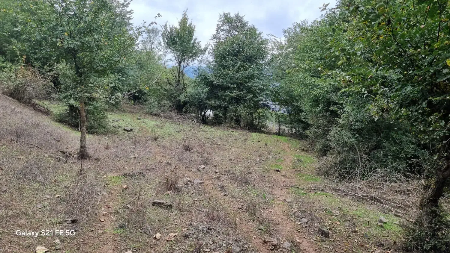 ۱۰۰۰متر زمین جیرمحله طالکوه جنگلی|فروش زمین و ملک کلنگی|برهسر, |دیوار