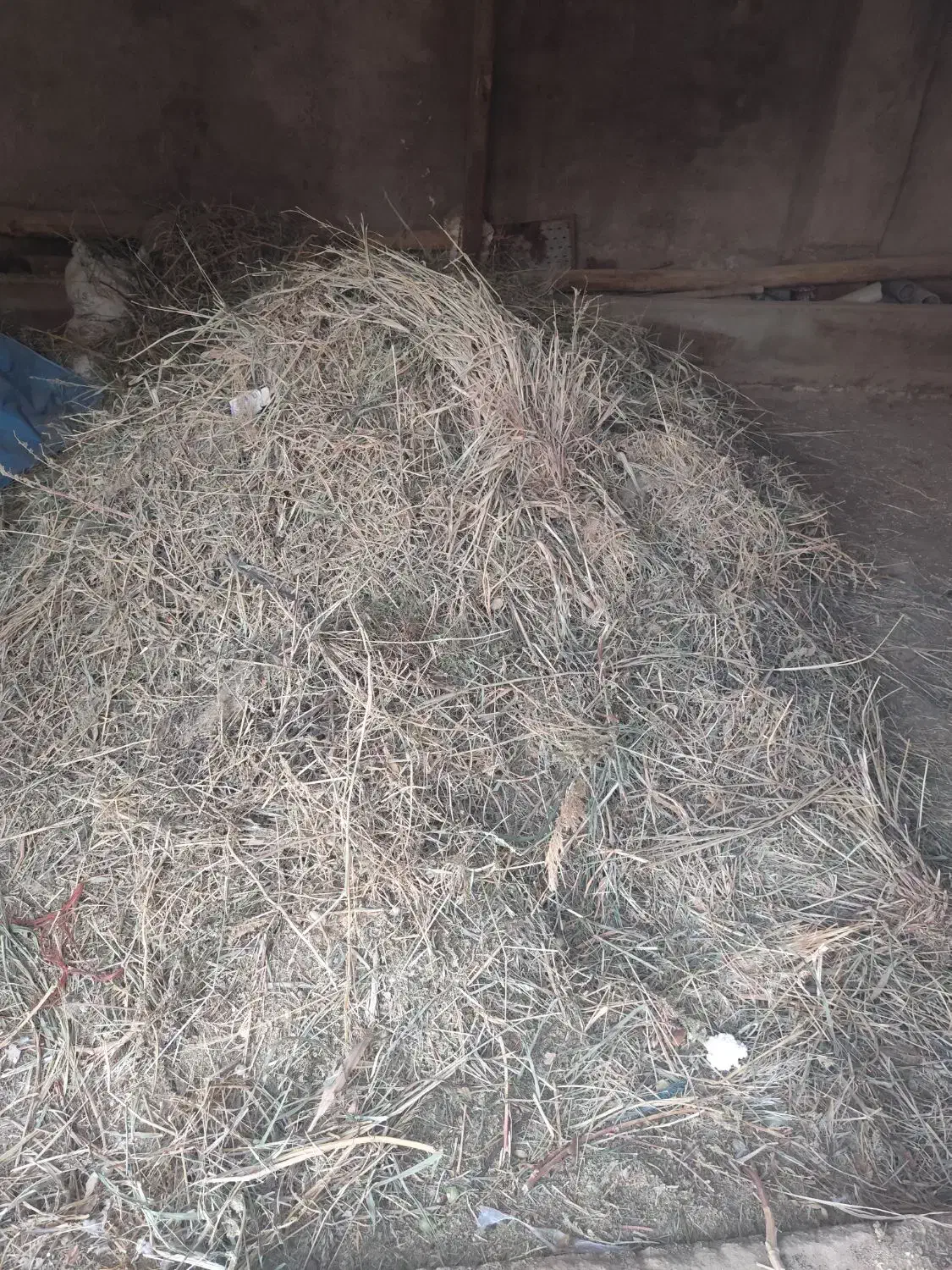 کاه یونجه علف|لوازم جانبی حیوانات|بشاریات, |دیوار