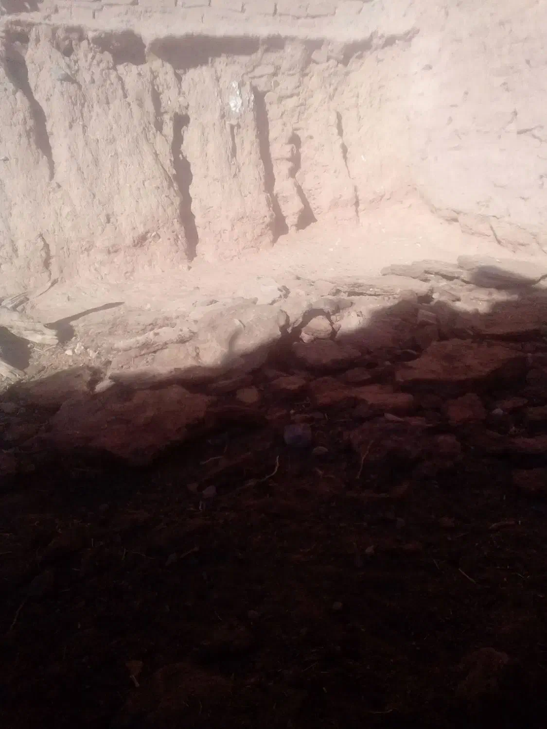 کود گاوی|خدمات باغبانی و درختکاری|قائن, |دیوار