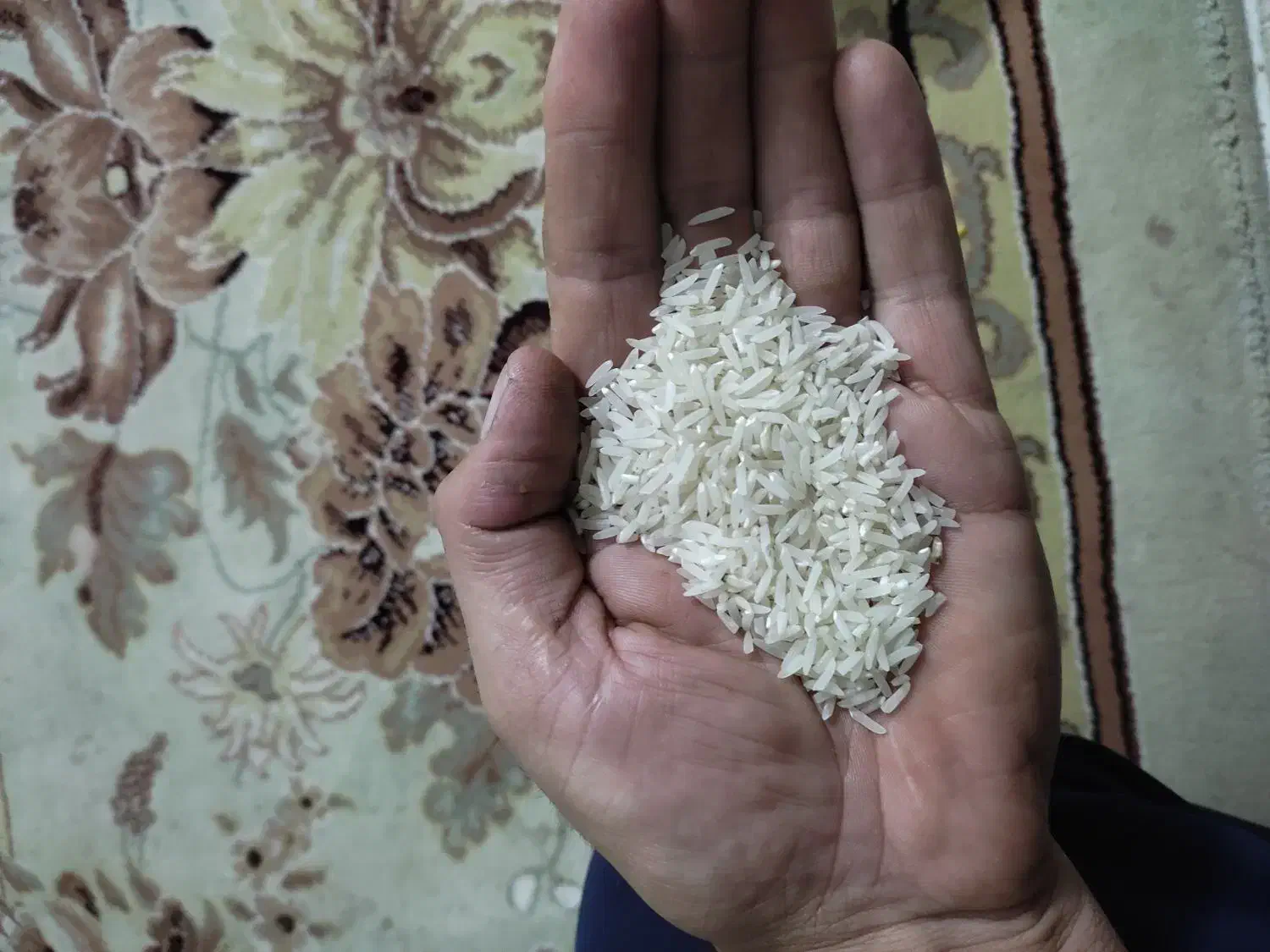 برنج فجرسوزنی|خوردنی و آشامیدنی|رامیان, |دیوار