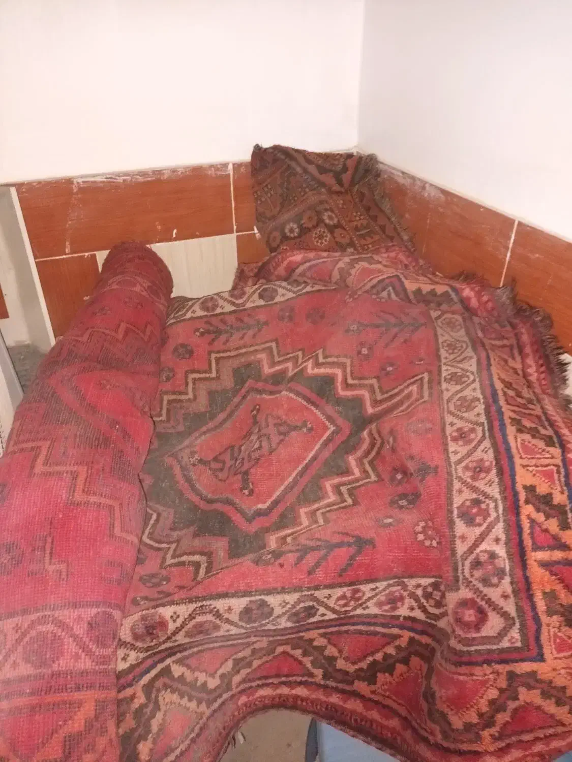 گلیم فرش دست باف سنتی ویژه باغ|گلیم، جاجیم، گبه|بهبهان, |دیوار