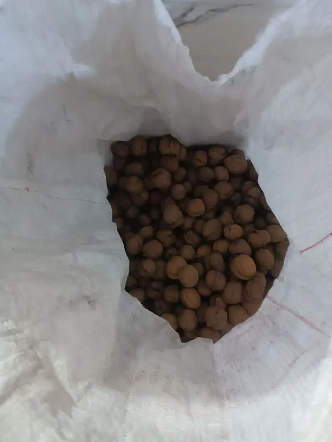 گردو|خوردنی و آشامیدنی|لردگان, |دیوار