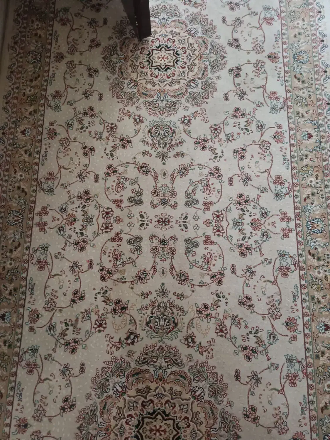 کناره|فرش|قم, نوقطار|دیوار