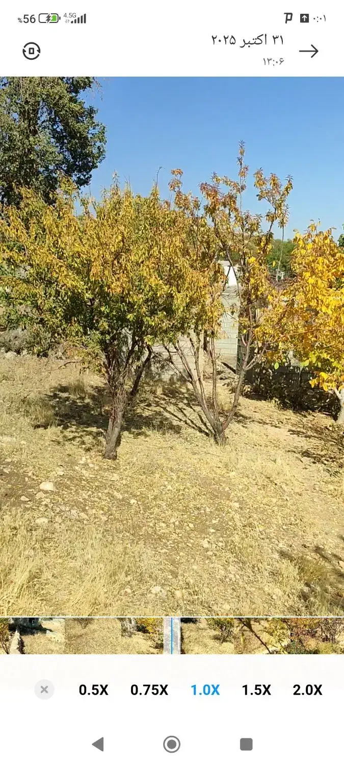 زمین مسکونی|فروش زمین و ملک کلنگی|دشمن زیاری, |دیوار