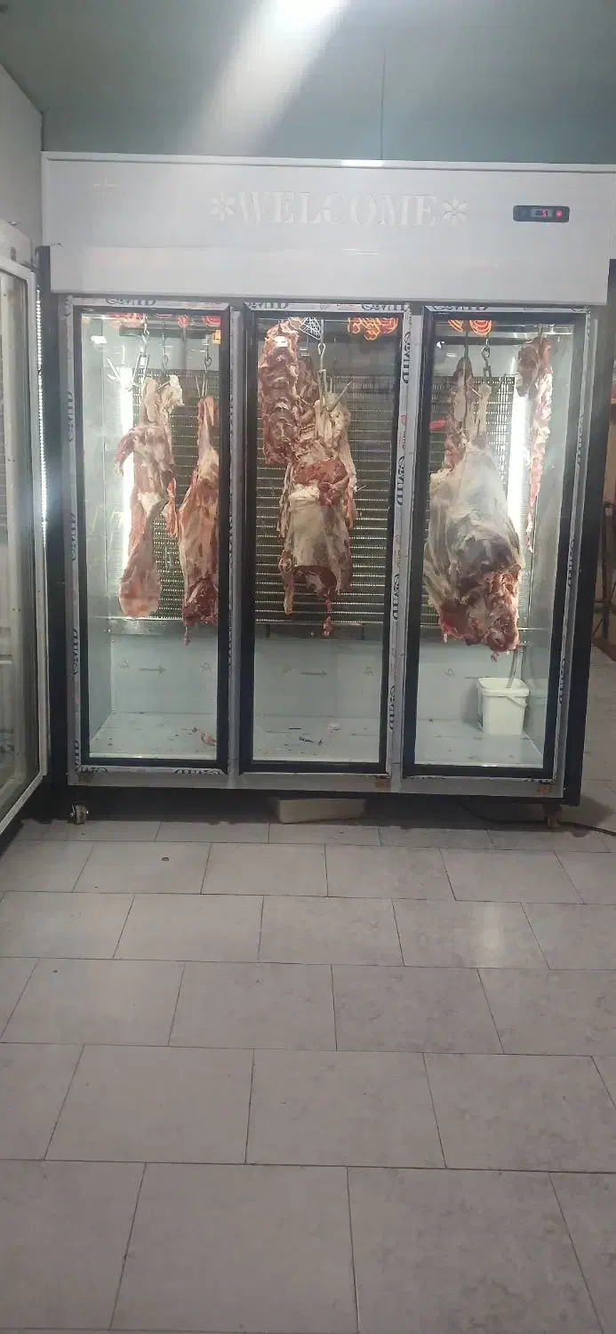 فروش یخچال قصابی|فروشگاه و مغازه|خزل, |دیوار