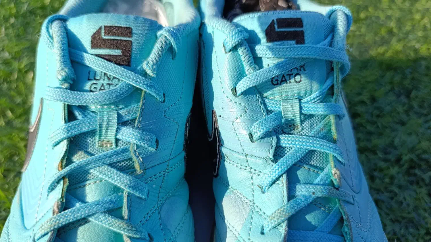 کفش فوتسال نایک گتو sb|کیف، کفش، کمربند|کرمان, |دیوار