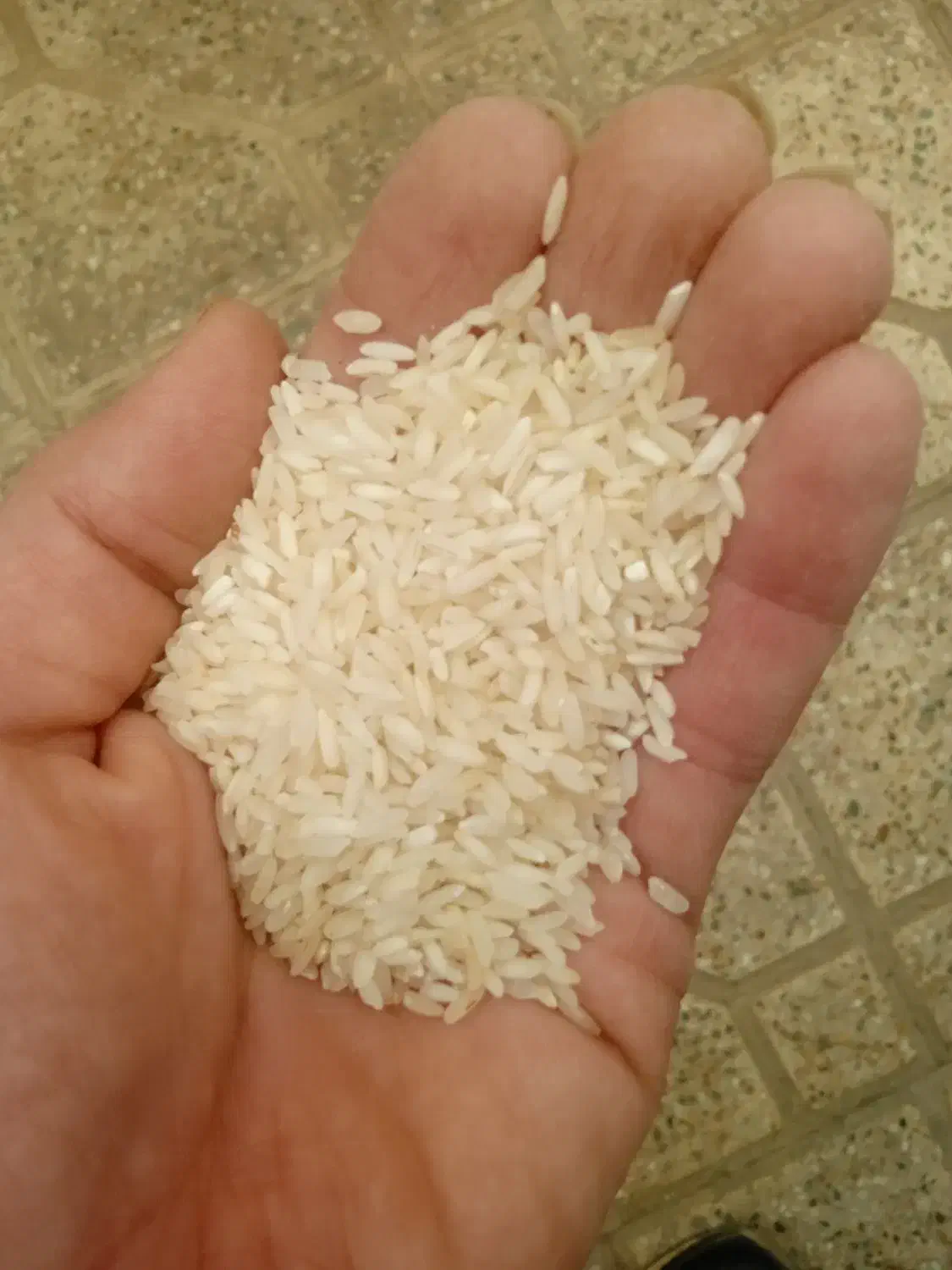 عرضه برنج عنبربو شوشتری یاران و کامفیروزی|خوردنی و آشامیدنی|خمینیشهر, |دیوار