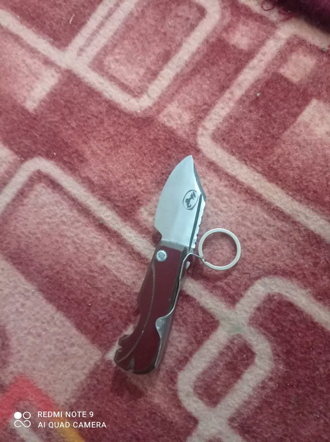 چاغوی حیدر|کوهنوردی و کمپینگ|مشگین شهر, |دیوار