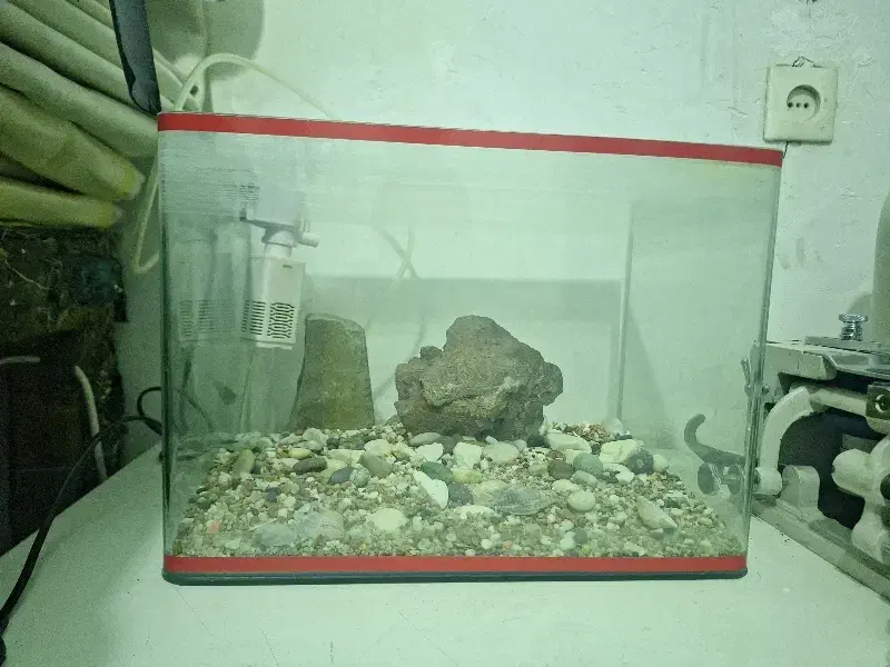 آکواریوم|ماهی|نسیم‌شهر, |دیوار