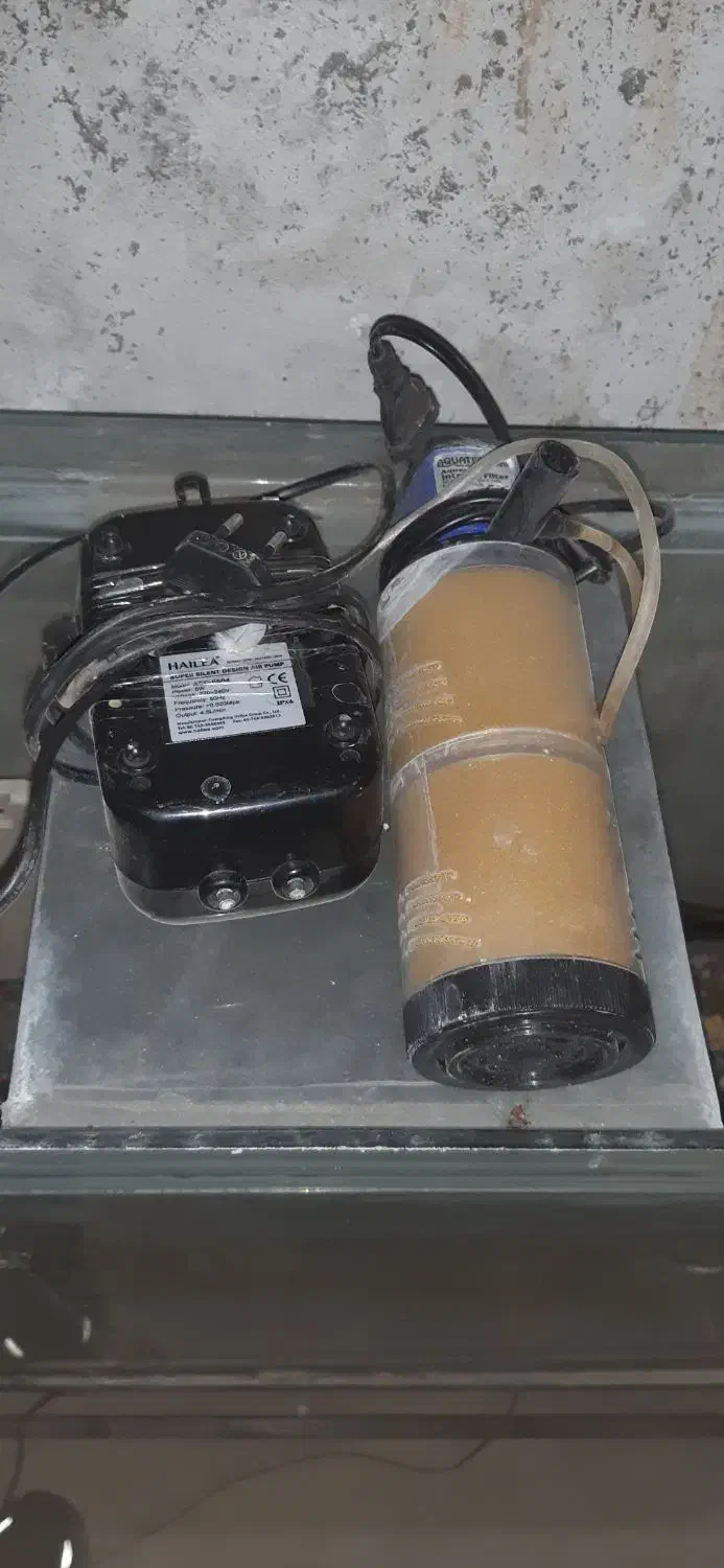 آکواریوم پایه آهنی محکم ضدزنگ|ماهی|تاکستان, |دیوار