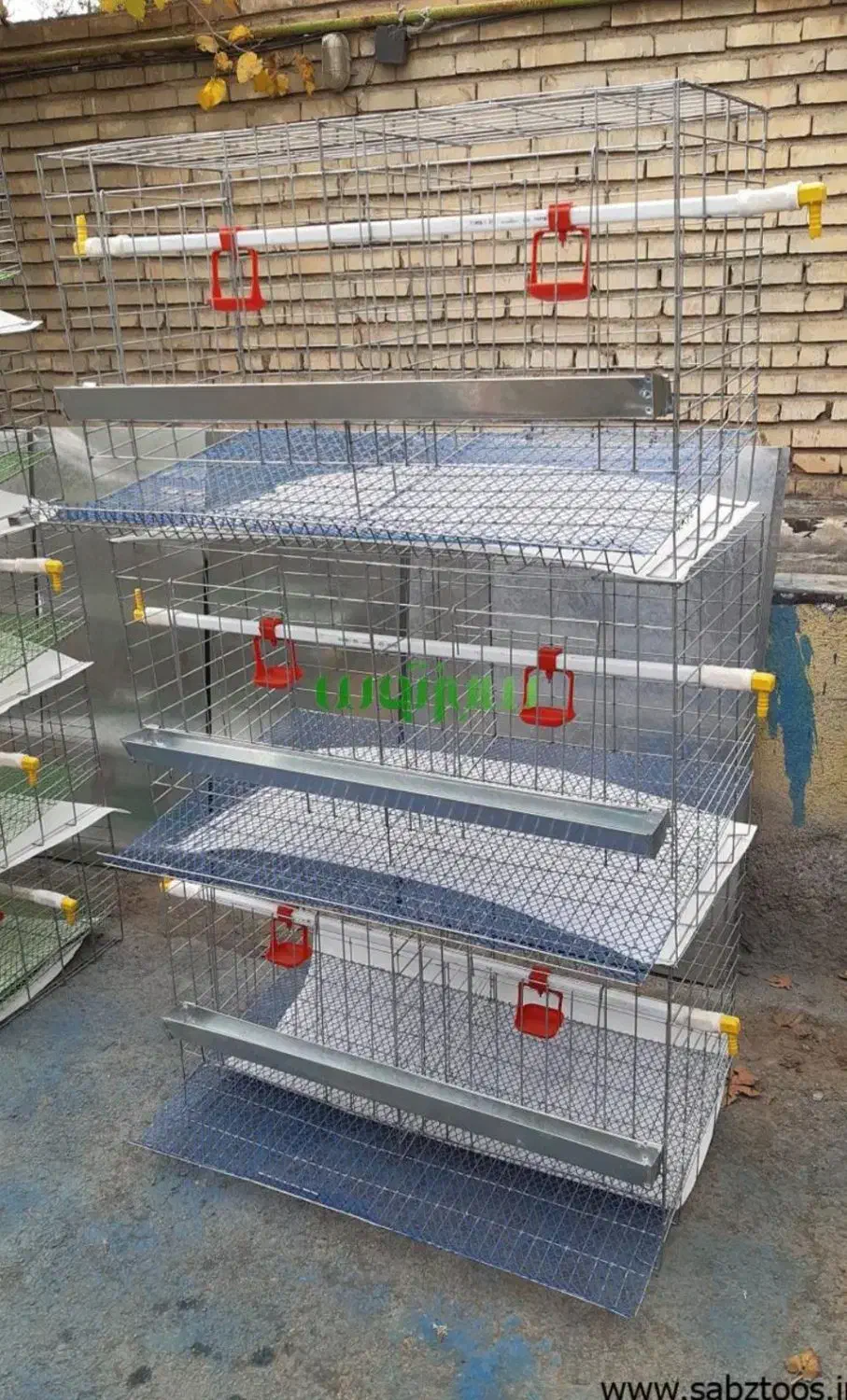 قفس|لوازم جانبی حیوانات|بجنورد, |دیوار