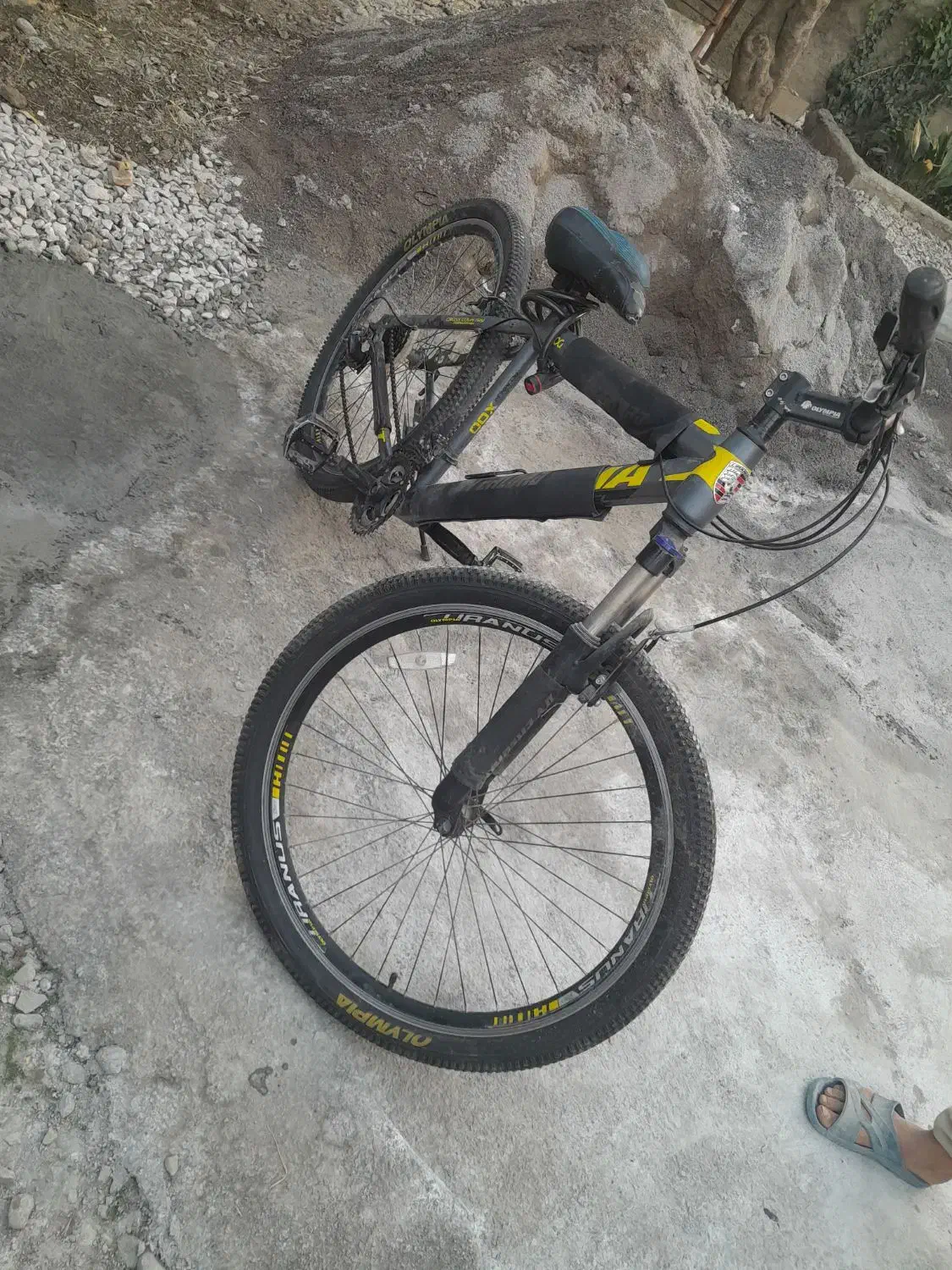 دوچرخه المپیا|دوچرخه، اسکیت، اسکوتر|گرگان, |دیوار