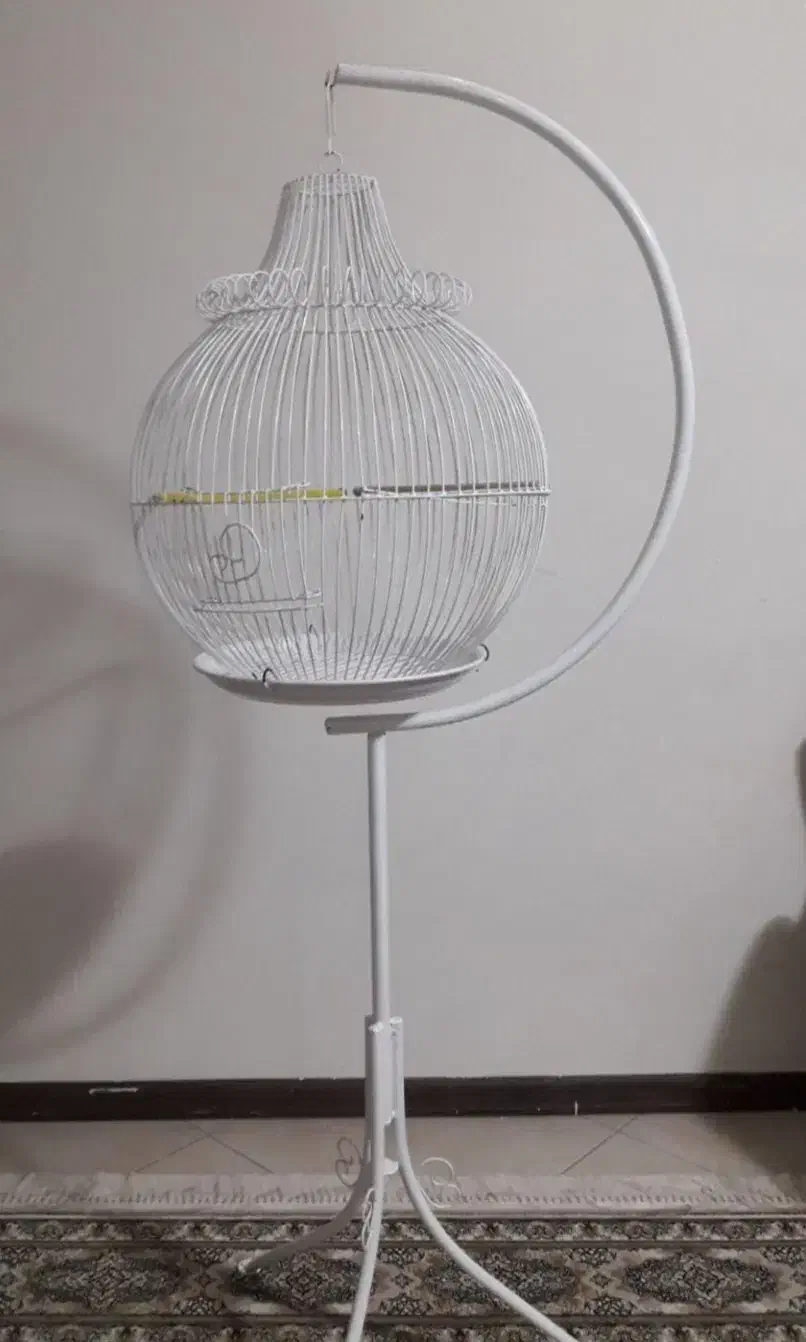 قفس پرنده|لوازم جانبی حیوانات|باغستان, |دیوار