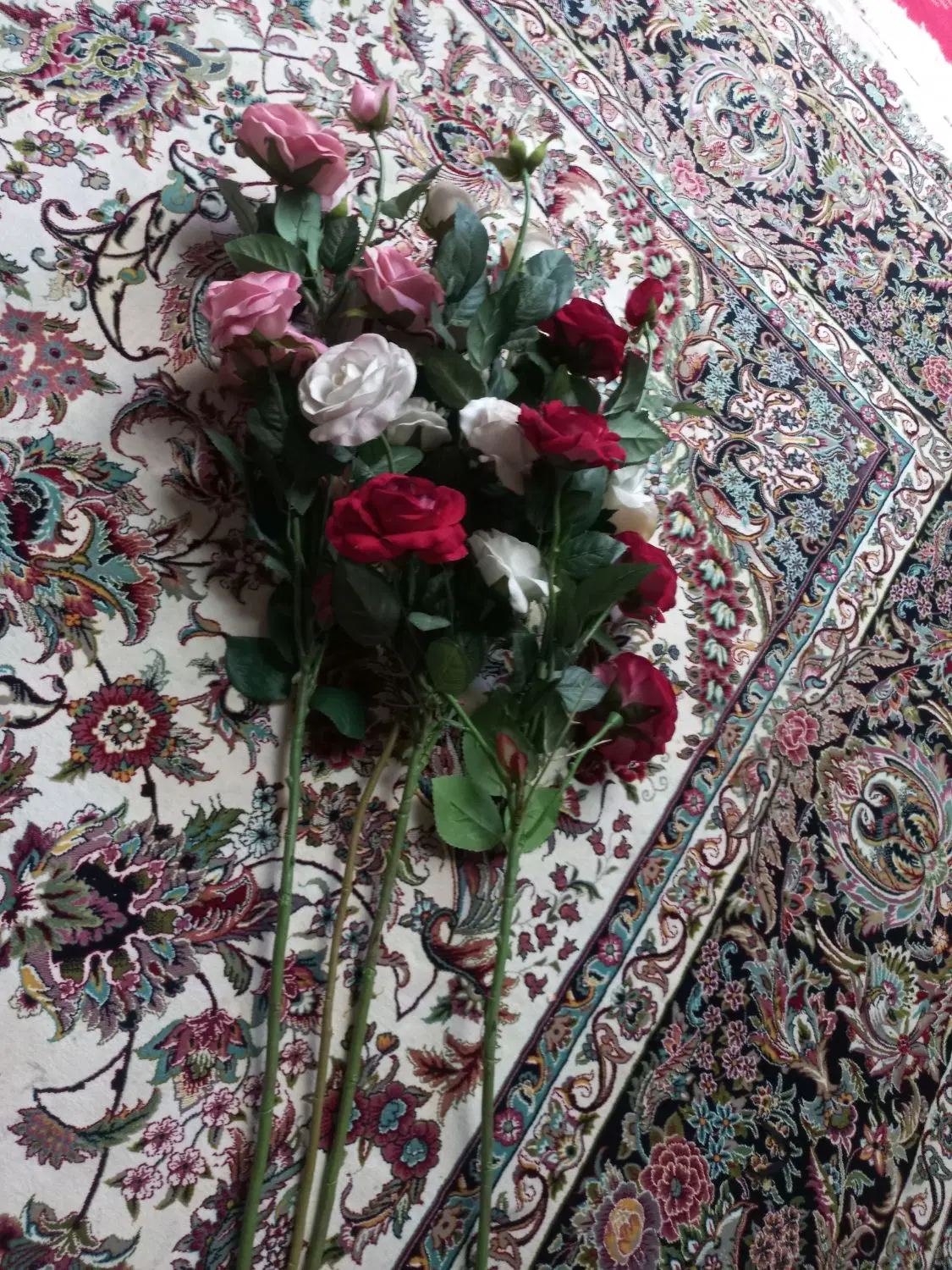 گل رز|گل و گیاه طبیعی|زنجان, |دیوار