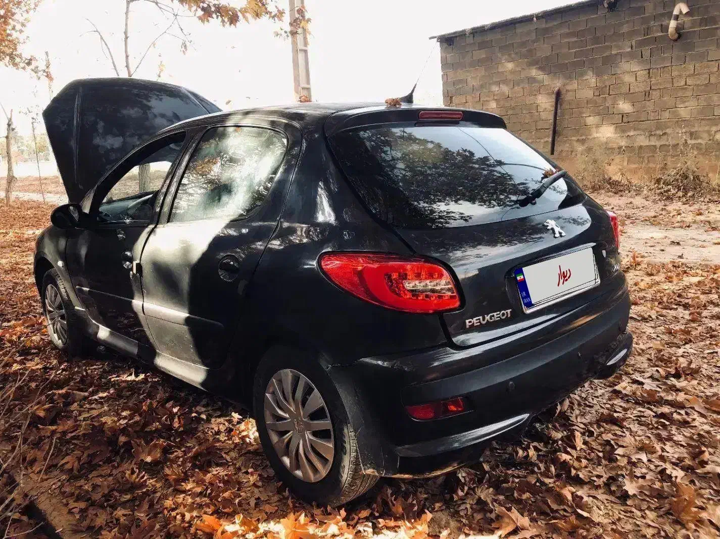 206 تیپ دو کارمندی کم مصرف|خودرو سواری و وانت|صدرا-فارس, فاز ۲|دیوار