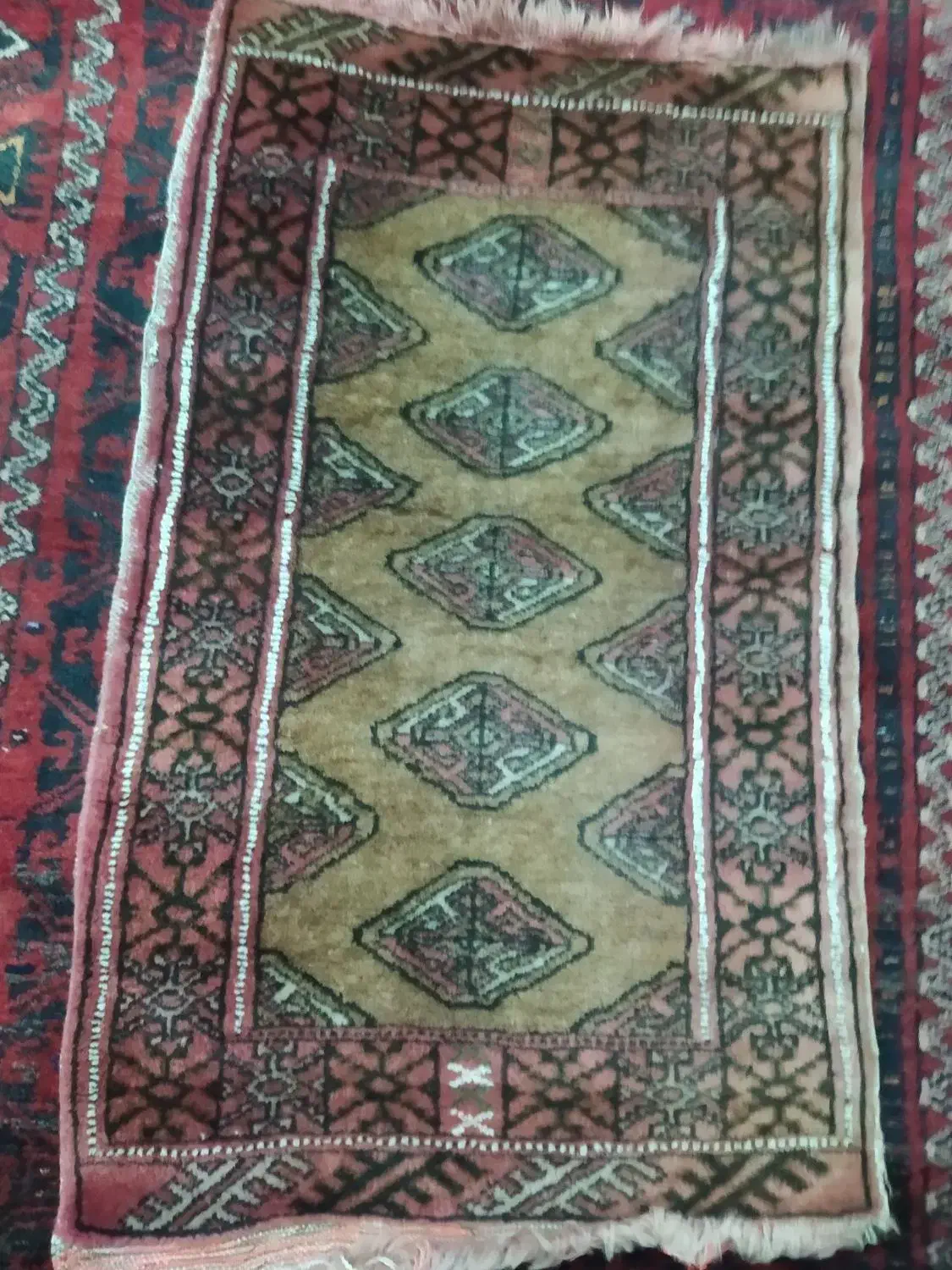 فرش دستباف|فرش|زاهدان, |دیوار