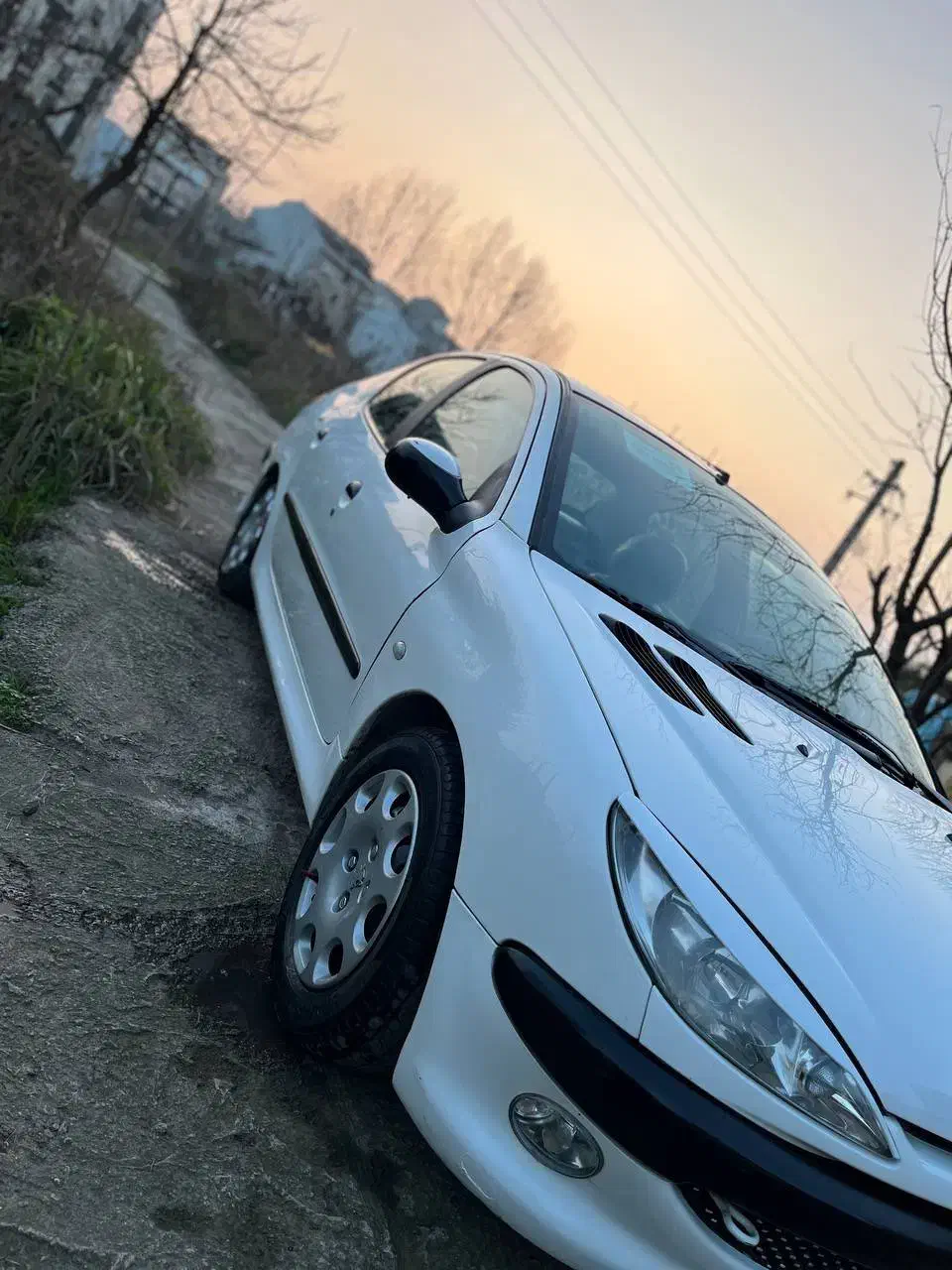 206 اس دی|خودرو سواری و وانت|رشت, کاکتوس|دیوار