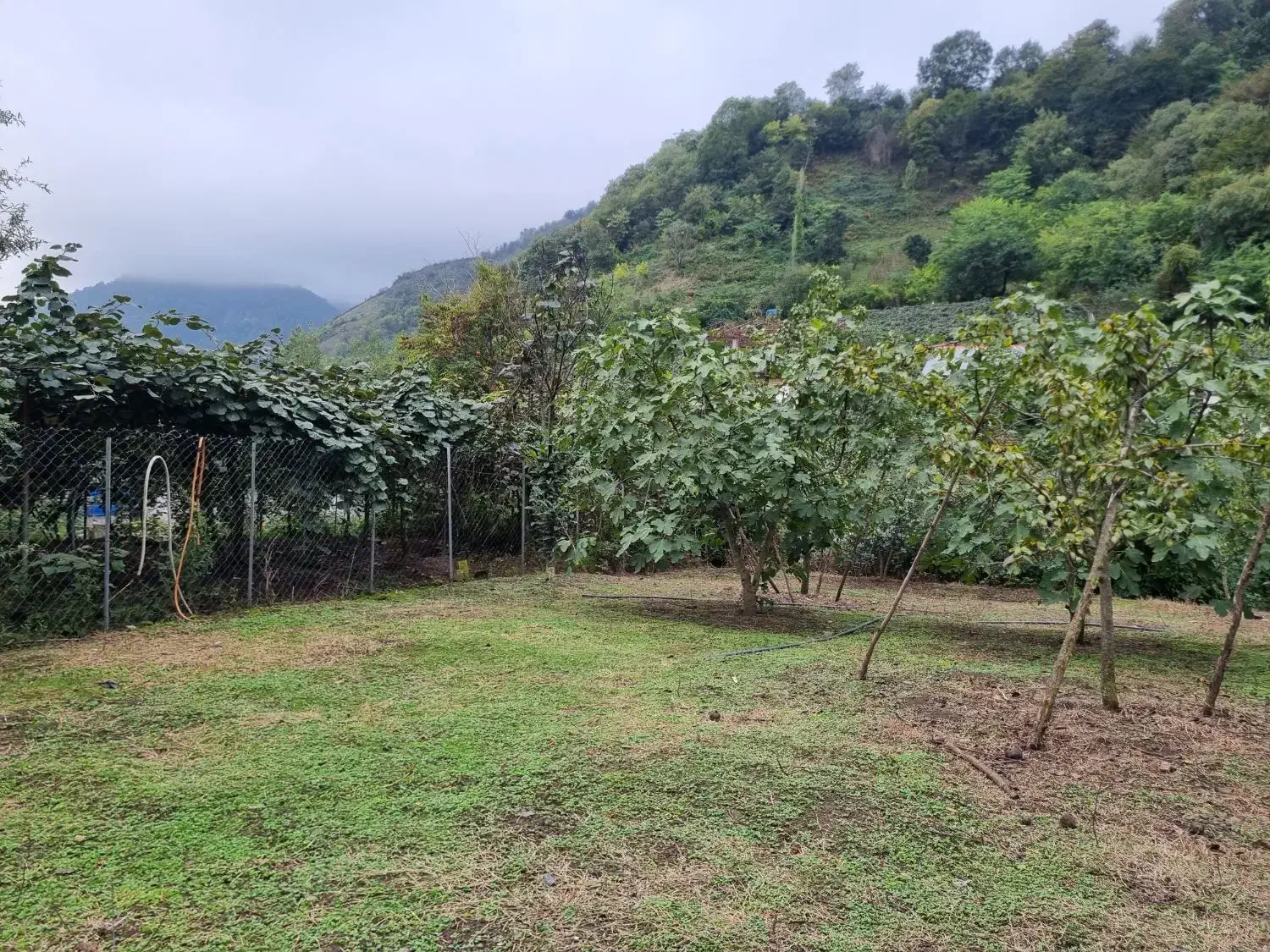 زمین با کاربری مسکونی ۴۰۳متر در نصرت آباد|فروش زمین و ملک کلنگی|حویق, |دیوار