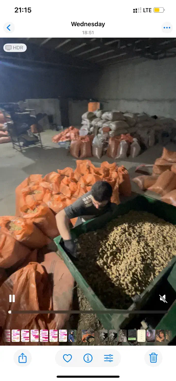 بادام زمینی|عمدهفروشی|اسلام آباد, |دیوار