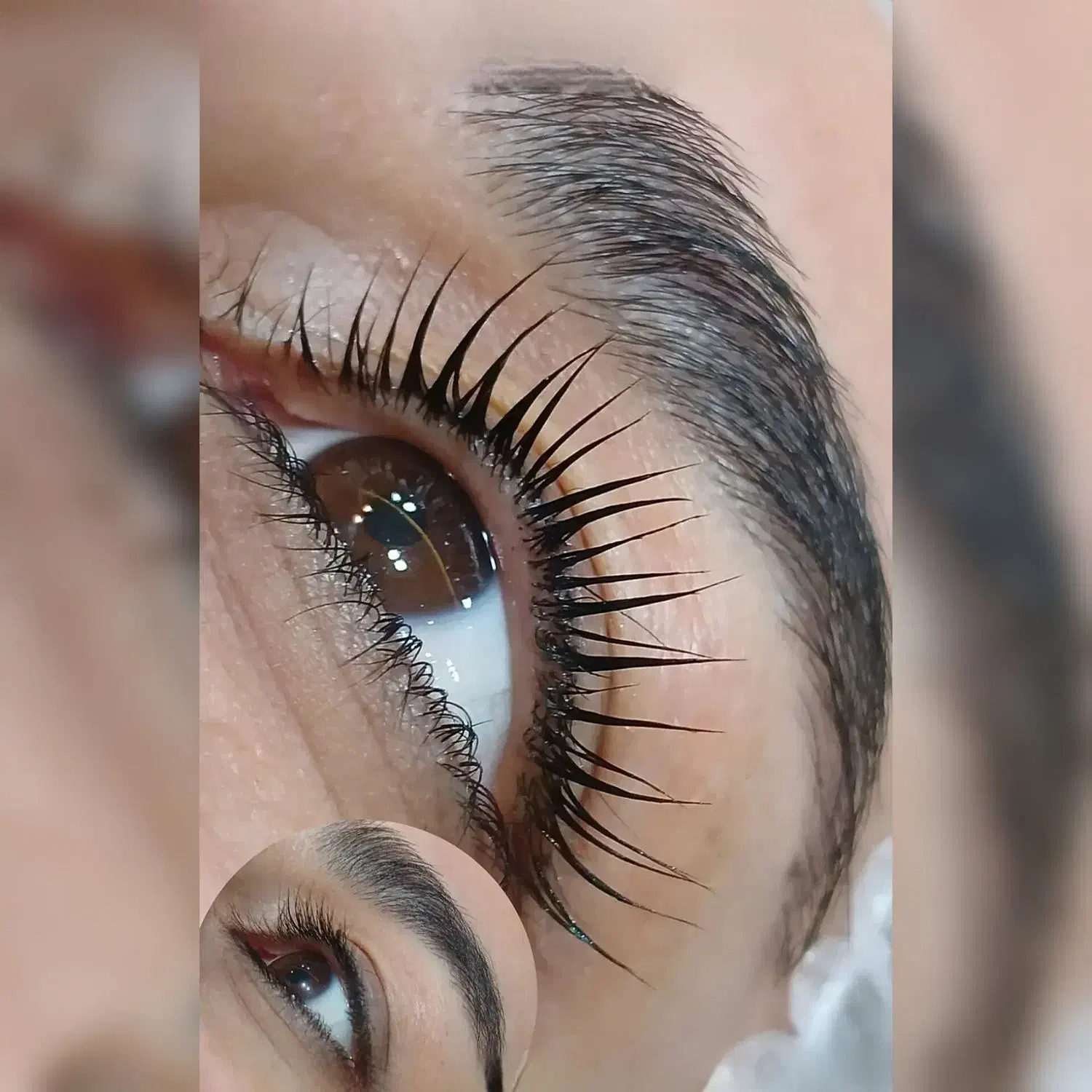 مدل لیفت و لمینت ابرو و مژه|خدمات آرایشگری و زیبایی|یزد, |دیوار