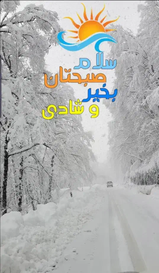 نیازمند سرویس مدرسه|خودرو اجاره‌ای|قم, امامزاده ابراهیم|دیوار