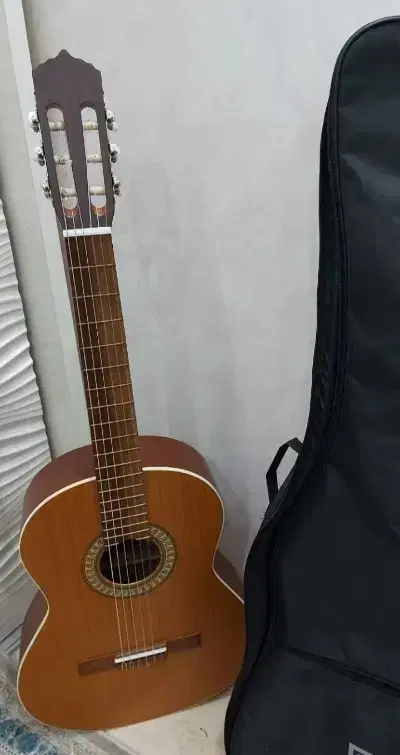 gitar parsi m5|گیتار، بیس، امپلیفایر|شهر ری, شهادت|دیوار