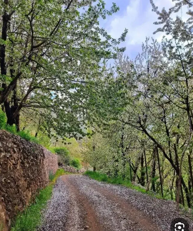 راهنمایی و همفکری|فعالیت داوطلبانه|قم, شهید صیاد شیرازی|دیوار