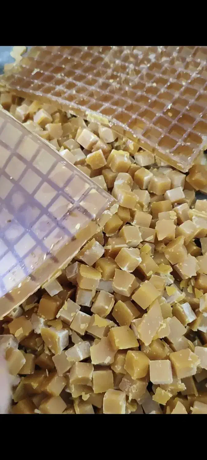 آموزش تولید نبات و نصب تجهیزات نبات|خدمات آموزشی|شیراز, ارم|دیوار