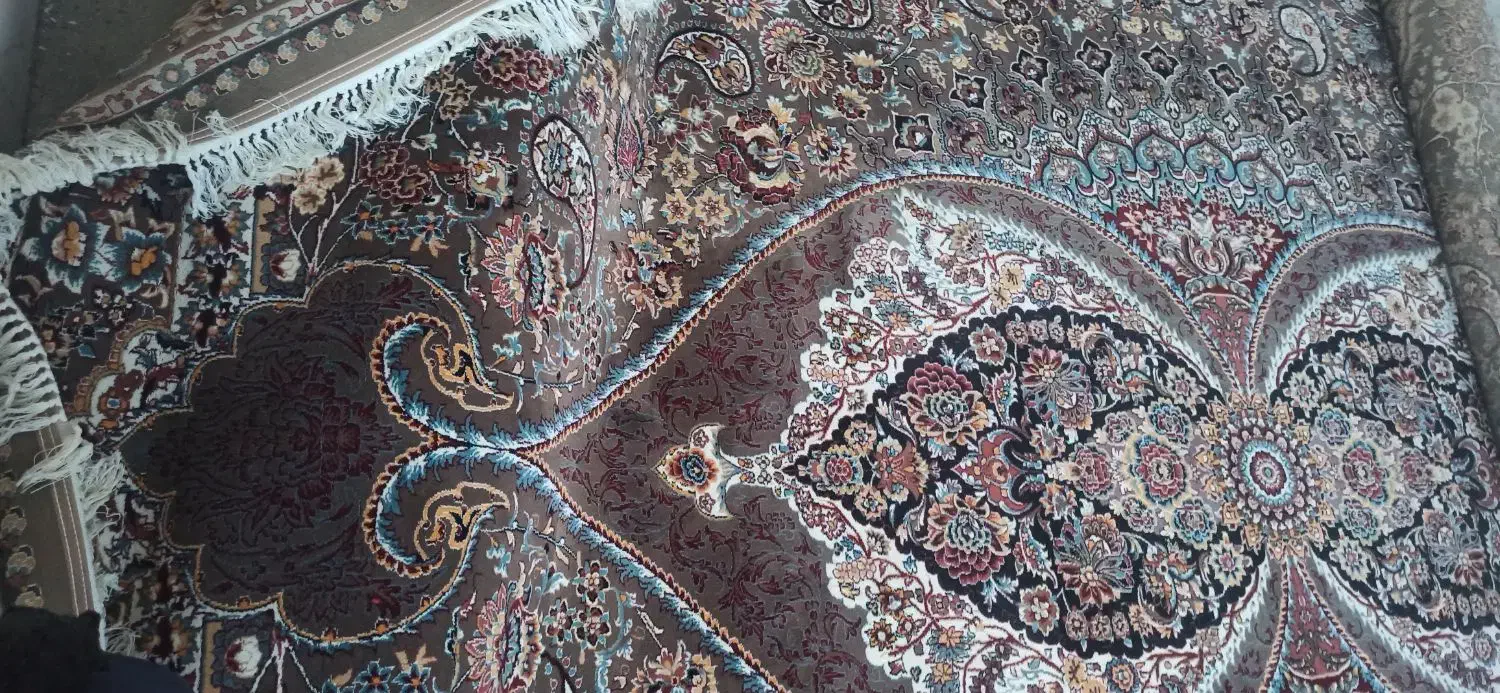 فرش|فرش|تایباد, |دیوار