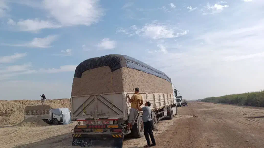 کاه نیشکر وپرس سفال نیشکرتوفاله فشنگی نیشکر|لوازم جانبی حیوانات|یزد, |دیوار