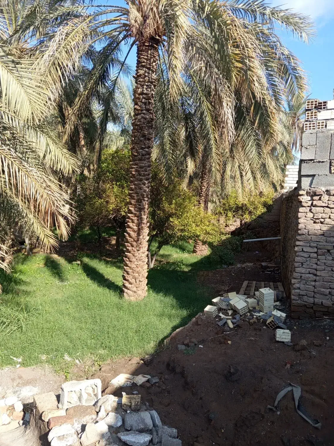 زمین|فروش زمین و ملک کلنگی|بم, |دیوار