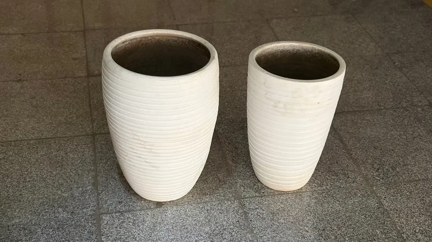 گلدان|گل و گیاه طبیعی|تهران, نارمک|دیوار