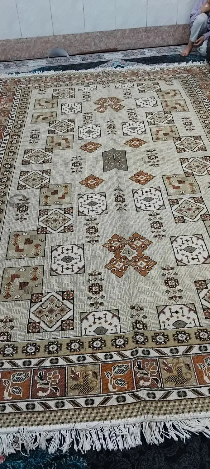 گلیم ۶متری|گلیم، جاجیم، گبه|قم, نیروگاه|دیوار