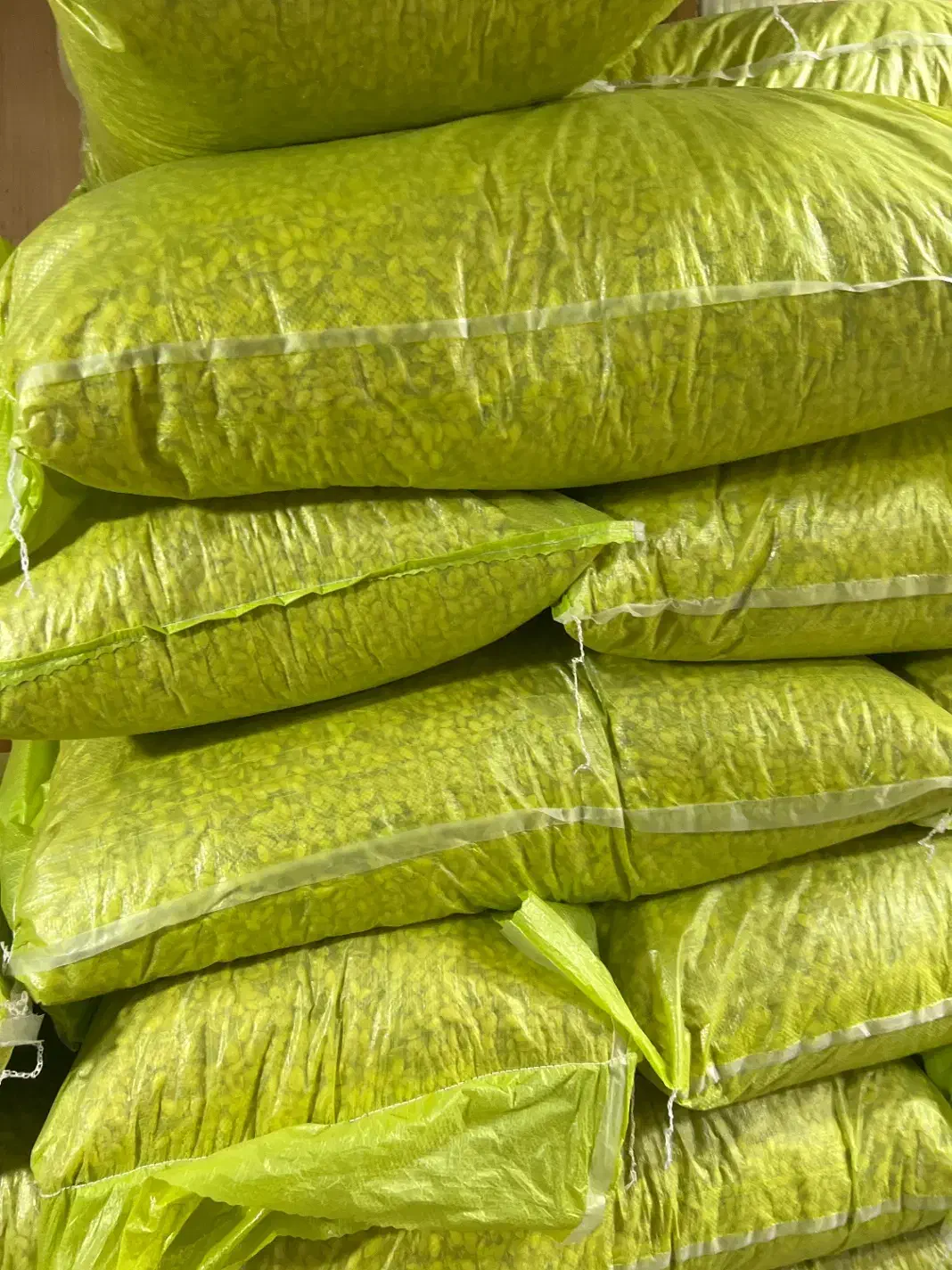 تولید و پخش اجیل و خشکبار|عمدهفروشی|سراوان, |دیوار