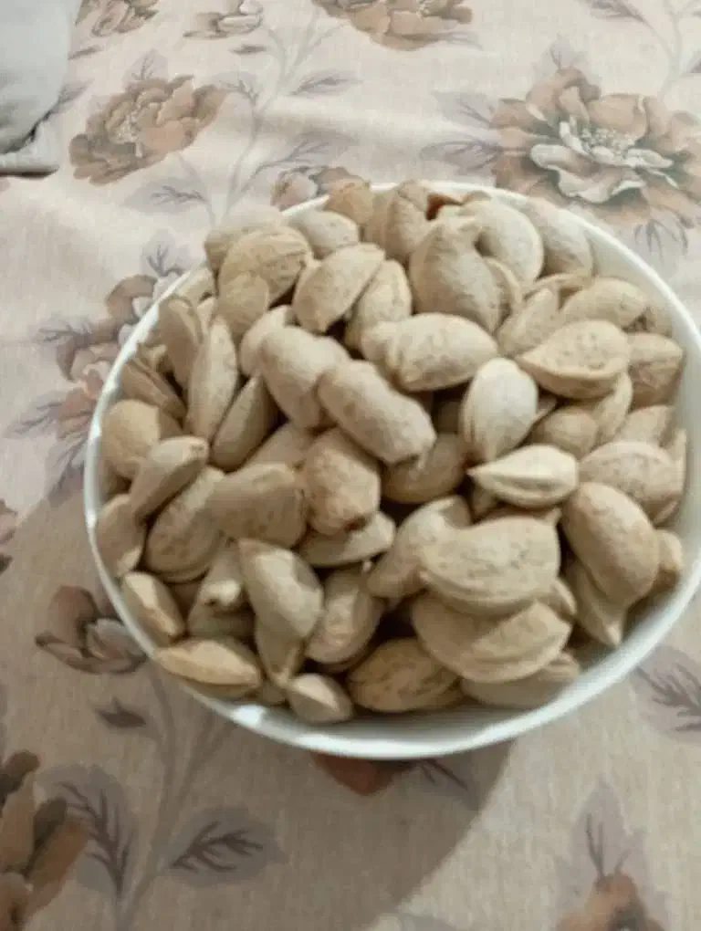 بادام|خوردنی و آشامیدنی|شیراز, قلعه نو|دیوار