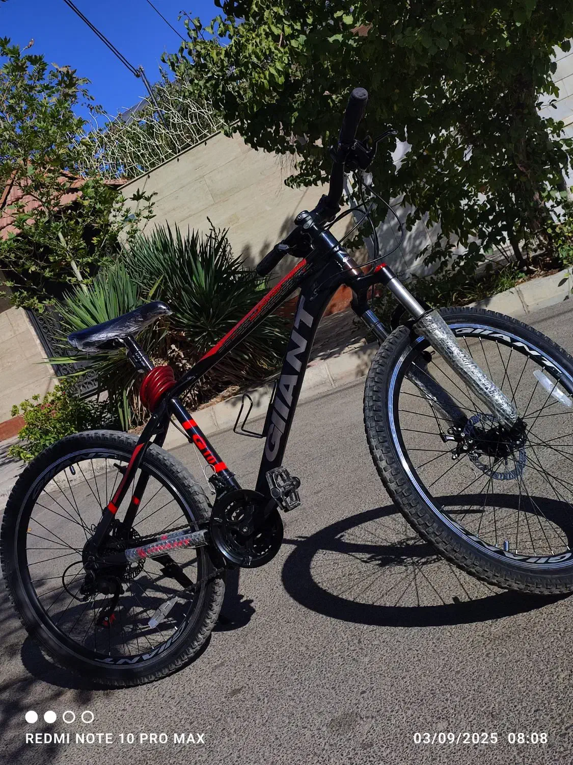 دوچرخه|دوچرخه، اسکیت، اسکوتر|گلبهار, شهر جدید گلبهار|دیوار