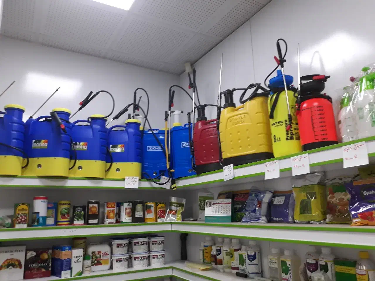 سم پاشی موریانه سوسک ساس سم پاشی موش|خدمات نظافت|اصفهان, شاهزید|دیوار