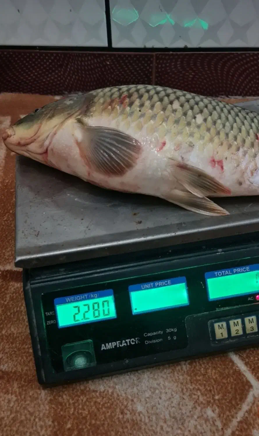 ساخت انواع طعمه و ریسه ماهیگیری (کپور)|ماهیگیری|دزفول, |دیوار