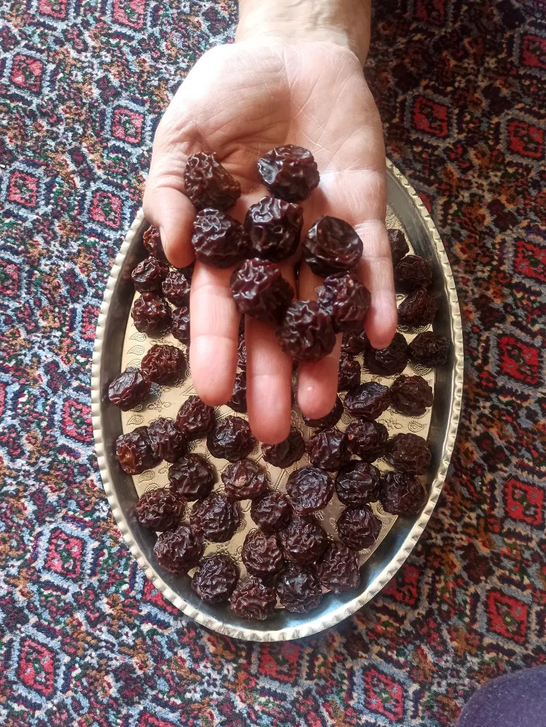 کشمش پلویی وآلوچه خورشتی شیرین ودرجه یک مراغه|خوردنی و آشامیدنی|تهران, جنت‌آباد مرکزی|دیوار