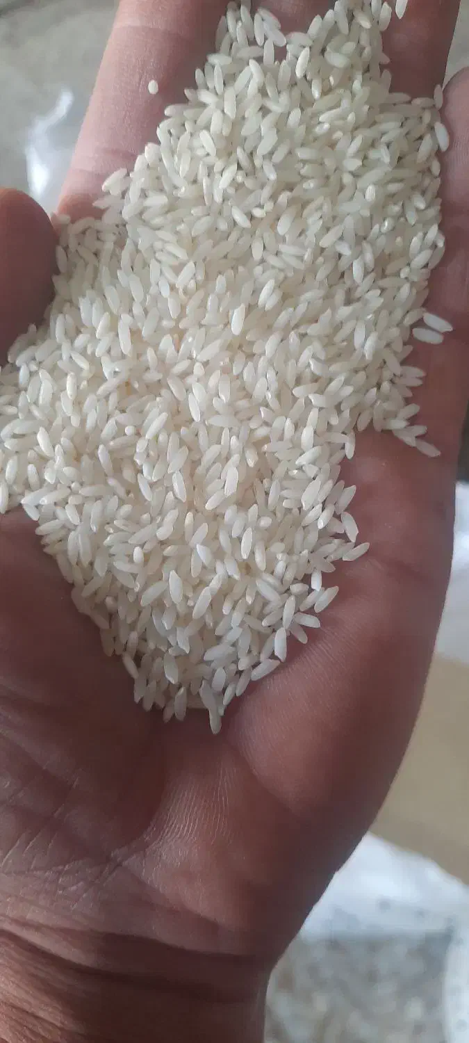 برنج خارجی دانه بلند با نیمدانه سونا ماسوری|عمده‌فروشی|شادگان, |دیوار