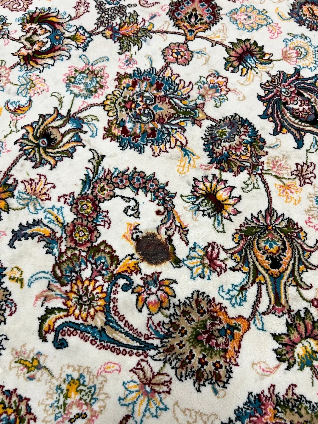 فرش کاشان|فرش|فشاپویه, |دیوار