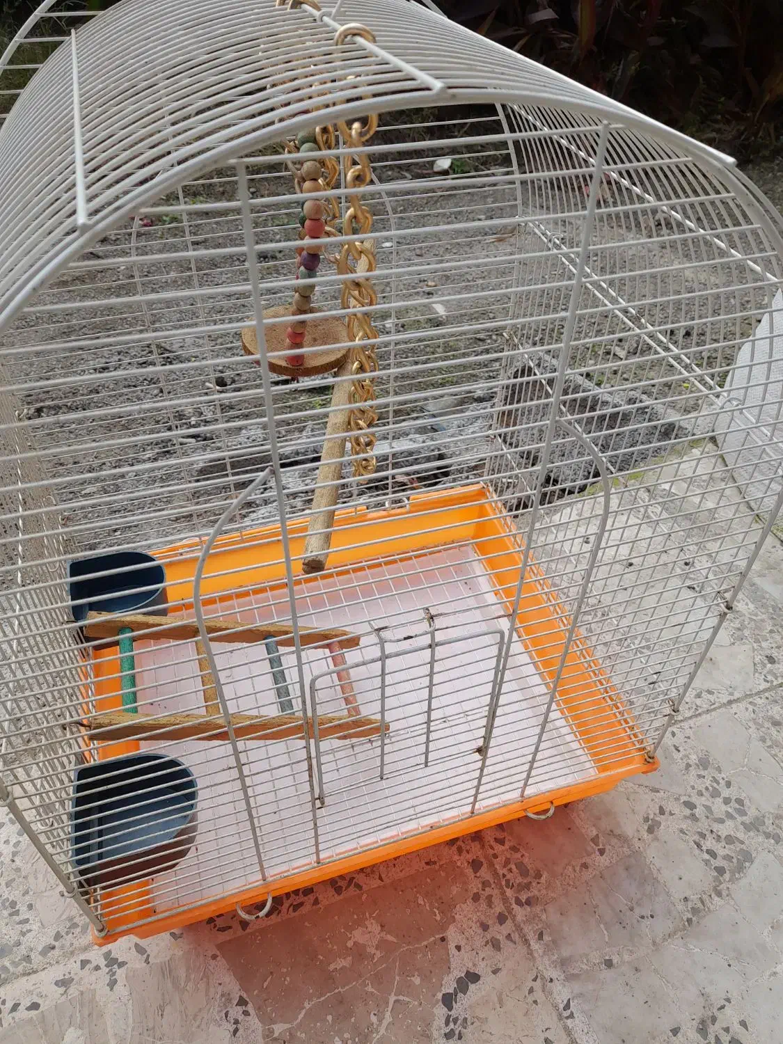 قفس پرنده|لوازم جانبی حیوانات|رشت, پیرکلاچای|دیوار