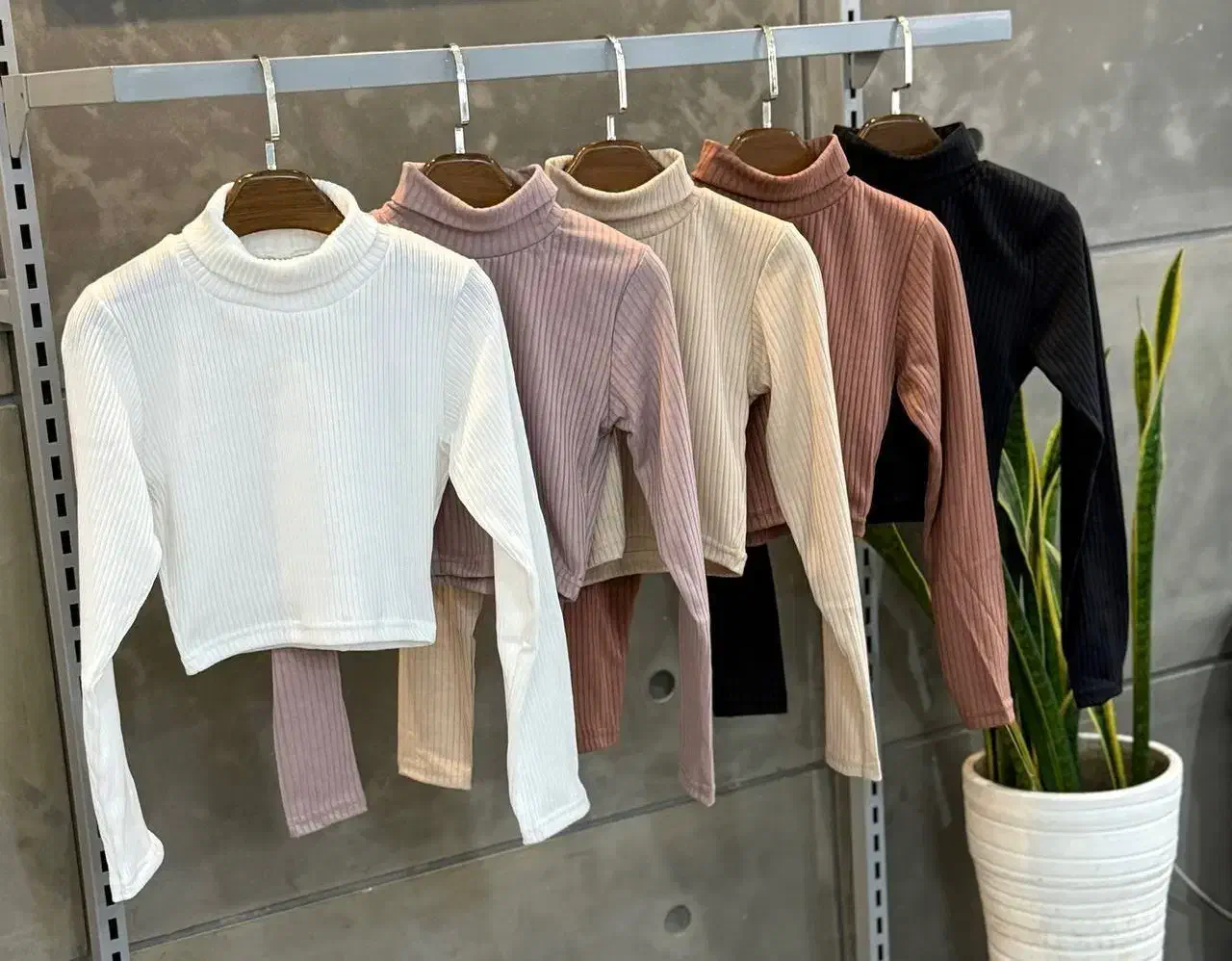 کراپ استین بلند|لباس|چناران, |دیوار