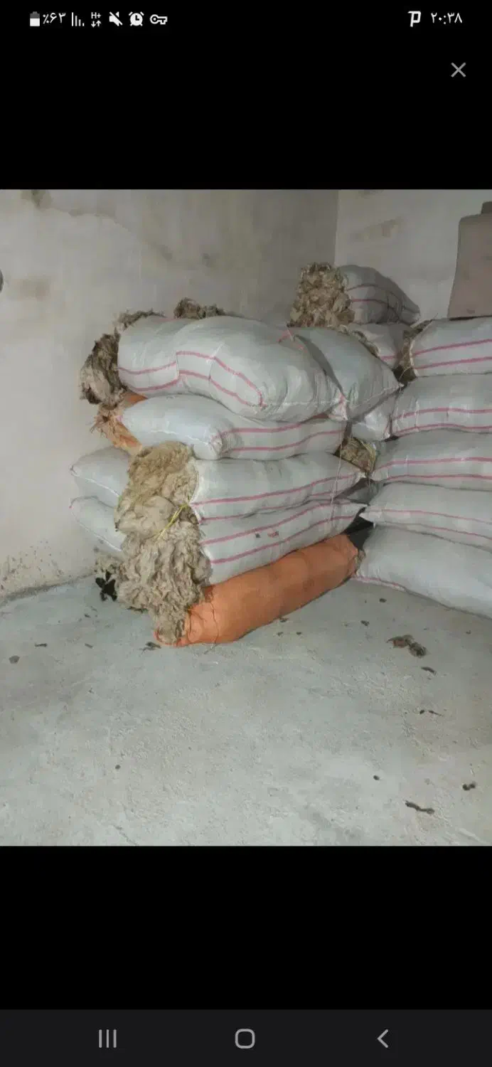 پشم گوسفند(یون)|رختخواب، بالش، پتو|مشگین شهر, |دیوار