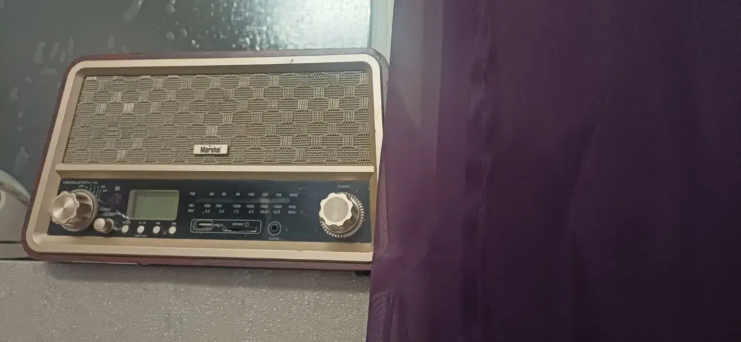 رادیو اسپیکر مارشال|سیستم صوتی خانگی|همدان, |دیوار