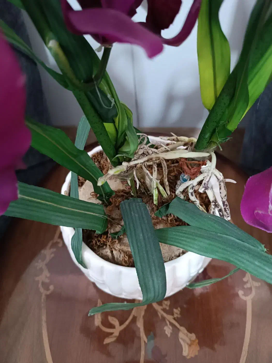 گل و گلدان|گل مصنوعی|قم, انسجام|دیوار