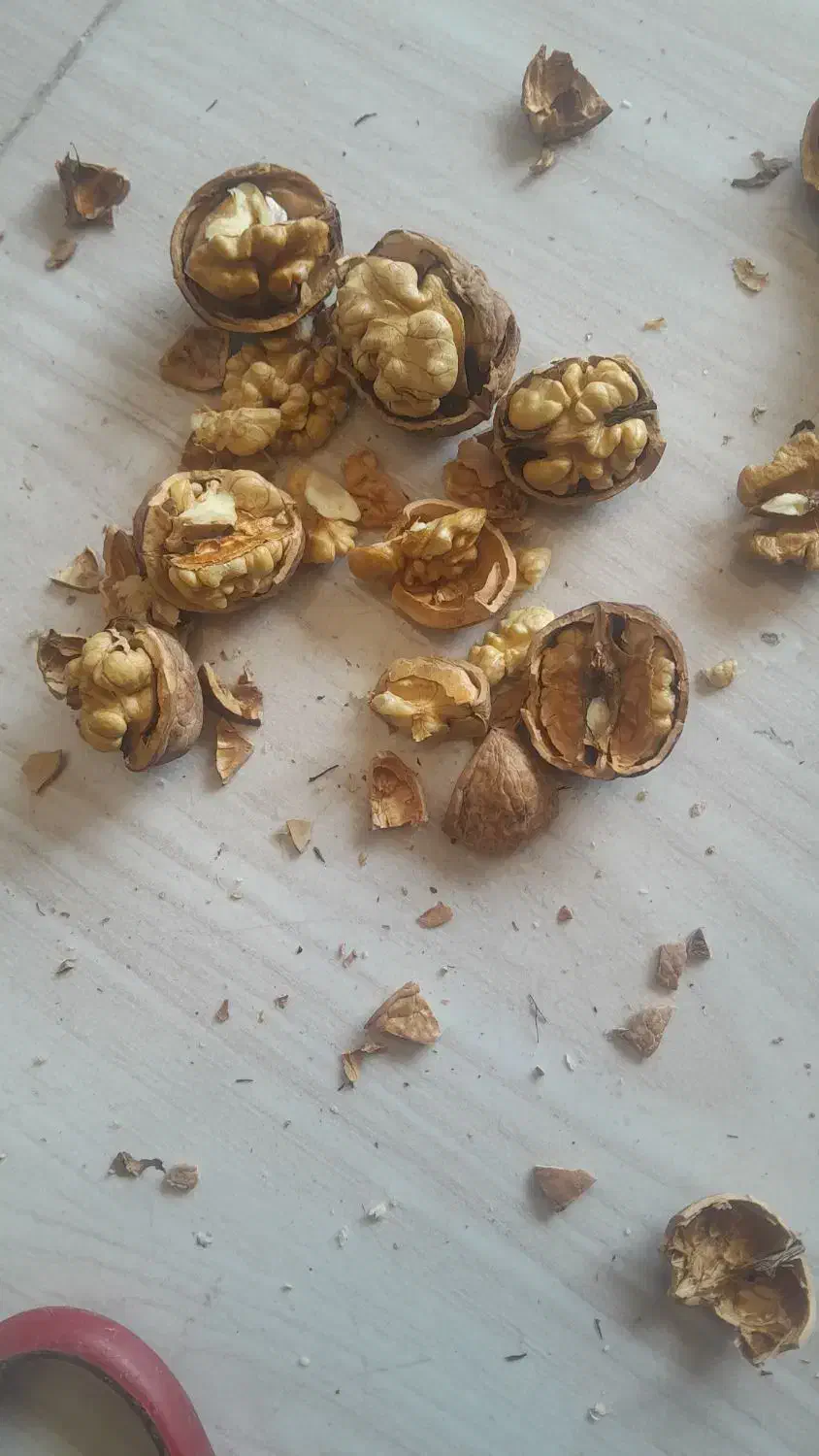 گردودرجه‌یک‌سمت‌بقمچ‌بلوارتوس‌۳۰۰کیلو|خوردنی و آشامیدنی|مشهد, امیرآباد|دیوار